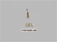 藏品(昏光苔蛾)的圖片